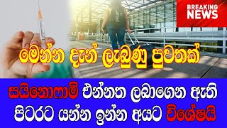 News Sinhala  සයිනොෆාම් එන්නත ලබාගෙන ඇති විදෙස් ගතවීමට අපේක්‍ෂාවෙන් සිටින පුද්ගලයන්ට විශේෂ පණිවිඩයක්