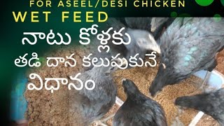 Wet Feed for Aseel/Desi Chicken daily | ఆసీల్ / దేశీయ కోళ్లకు తడి దాన మిశ్రమం కలుపుకునే విధానం