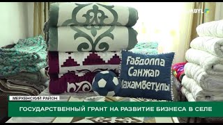 Государственный грант на развитие бизнеса в селе