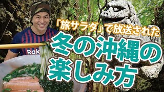 【沖縄観光情報】「朝だ生です旅サラダ」で紹介された冬の沖縄旅行をなぞってみた！古民家そば屋、ガンガラーの谷、イチゴ狩り