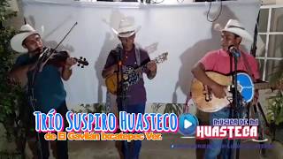 Trio Suspiro huasteco de El Gavilán Ixcatepec Veracruz Live 2020