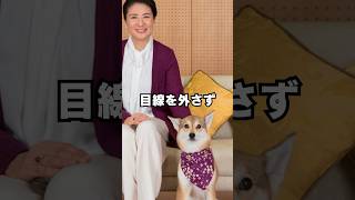 天皇御一家と愛犬のリンクコーデが素敵すぎた…！#shorts #雑学 #皇室