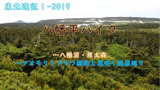 東北遠征…八幡平ハイク