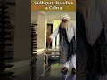 Sadhguru Handles a Cobra 🐍✨ #shorts #snake #cobra #sadhguru