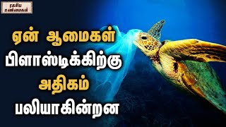 Why tortoise eat large numbers of plastic | ஏன் ஆமைகள் பிளாஸ்டிக்கிற்கு அதிகம் பலியாகின்றன