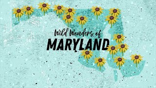 Wild Wonders of Maryland - Book Trailer