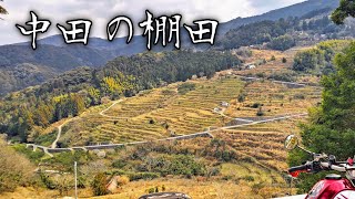 再生されつつある超穴場の景勝地『中田の棚田』 Scenic spots being regenerated.