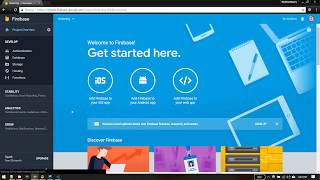 Firebase Email-Password authentication in VueJs