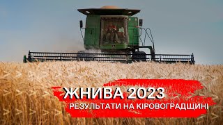 Жнива 2023 🔥 Молотимо пшеницю, ячмінь та ріпак на Кіровоградщині | Врожайний челендж