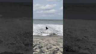 kalla kadal/ കള്ള കടൽ / Alappuzha beach / kerala