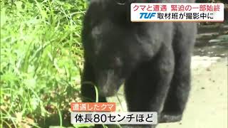 「あ、クマだ、え、クマだ」取材中にクマに遭遇　緊迫の一部始終　福島・会津美里町