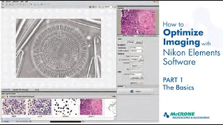 How to Optimize Imaging with Nikon Elements Software, Part 1