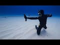 Underwater Archery Spearfishing in The Bahamas (Airplane Found)