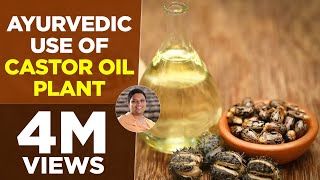 Ayurvedic use of Castor Oil Plant (अरंडी के तेल) | Acharya Balkrishna