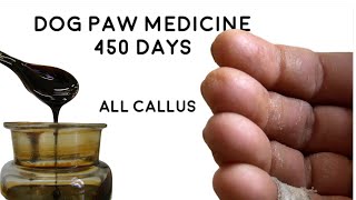 I used dog paw medicine for 450 days here’s what happened to my hands
