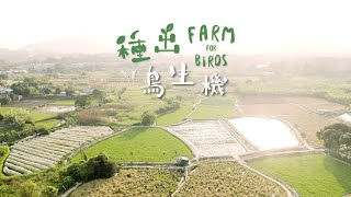 種出鳥生機 Farm for birds