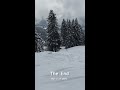 瑞士滑雪 skiing with dog in the forest of the swiss alps