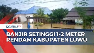 6 Kecamatan di Kabupaten Luwu Terendam Banjir, Begini Situasinya