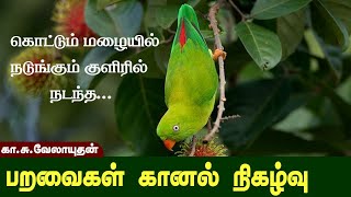 #birdwatching    #photography    மைனஸ் டிகிரி குளிரில் பெய்யும் மழையில் பறவைகள் காணல் - பகுதி - 1