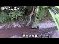 河川取水門の土砂をバックホウ【ユンボ・パワーショベル】で撤去します。