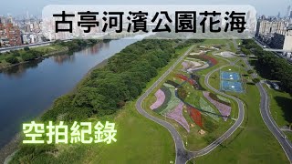 古亭河濱公園花海空拍紀錄｜台北空拍｜花海空拍｜河濱公園空拍