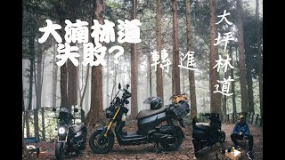 大湳林道失敗? 改往大坪林道~~。chill一下