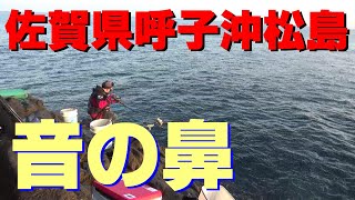 佐賀県呼子沖　松島　　名礁　音の鼻で石鯛狙い！　　#底物釣り ＃利倉大四郎　#馬渡会