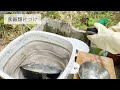 【リセット動画】キャンプ後の撤収作業を全て見せます！寝床 テント 洗い物 コンテナ収納 車への積載