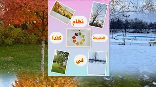 أجي تتعرف على نظام الطبيعة في كندا 🍁❄️⛷️⛸️🌨️🌤️#كندا_المغرب #العالم #الهجرة 🛝🏝️