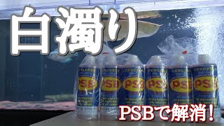 白濁り！PSBで解消させます！