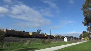 5MP2 Freight Train With Locos NR87-G538-NR100