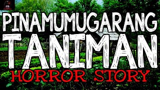 Pinamumugarang Taniman Horror Story | True Horror Stories | LadyPam