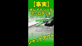 【事実】ボレイトシールでシロアリをシャットアウト