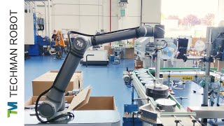 V2A034 TM Robot - TM AI Cobot Palletizing Application ft. SINTA s.r.l. \u0026 Ergonit