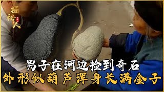 男子在河邊撿到奇石，外形似葫蘆渾身長滿金子，專家：無價之寶 #古董 #開棺 #古墓 #考古發現 #考古