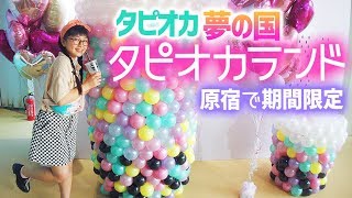 【東京タピオカランド】タピオカの夢の国テーマパーク♪原宿に期間限定オープンしたので潜入♪