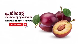 പ്ലമിന്റെ ആരോഗ്യഗുണങ്ങൾ | Health Benefits of Plum in Malayalam | Health Tips