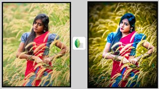 Snapseed Editing: A Guide to Aqua, Yellow, & Brown