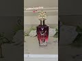 nuha cherry blush gifted by khadlaj khadlaj perfume fragance