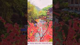 কি অপূর্ব। How beautiful #viral #shorts #facts