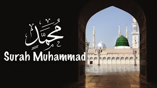 47 | Surah Muhammad سورة محمد- Calm your heart with beautiful recitation | @duaislamichouse