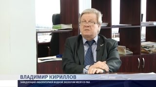 Владимир Кириллов — об экологическом состоянии озера Большое Яровое