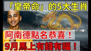 「皇帝命」的5大生肖！阿南德點名恭喜！9月馬上有錢有福！菩薩看了都羨慕！|易學智慧