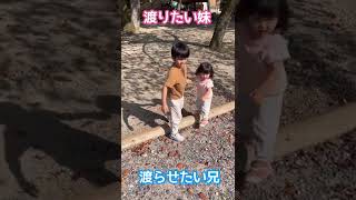 【仲良し兄妹】渡りたい妹と渡らせたい兄#shorts