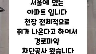 압구정쪽에 있는 오래된 아파트 입니다 쥐가 집 전체적으로돌아 다닙니다 경로파악 쥐퇴치 가능한가요