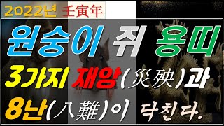 2022년 임인년(壬寅年)! 원숭이(申) 쥐(子) 용(辰)띠, 3가지 재앙과 팔난(八難)이 다가온다/삼재/인묘진[행운의신사주풍수연구소]