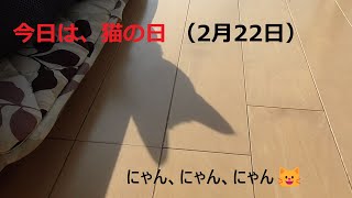 【ネコ大好き！No.039】猫様の日　2月22日