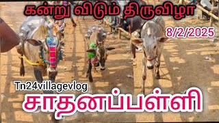 சாதனப்பள்ளி bull fastival| sadanapalli எருது விடும் திருவிழா|கிருஷ்ணகிரி மாவட்டம|#bullfestival