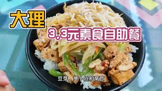 大理最抠UP主，去吃3.3元素食自助餐，四个硬菜还有粥