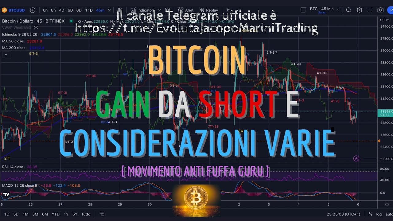 BITCOIN - Analisi Evoluta Del 5/02/23 - Gain Da Short E Considerazioni ...